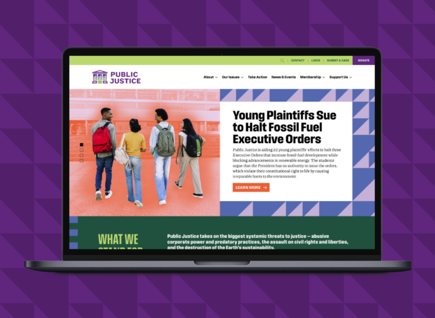 Taking on the Biggest Systemic Threats to Justice